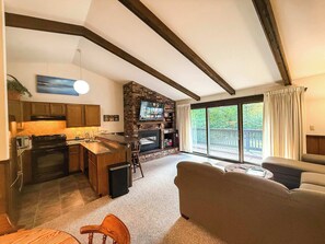 TV, fireplace, DVD player
