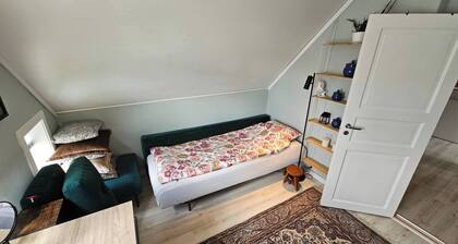 Unique Loft Apartment With Beautiful Atmosphere-southfaced Balcony-free Parking