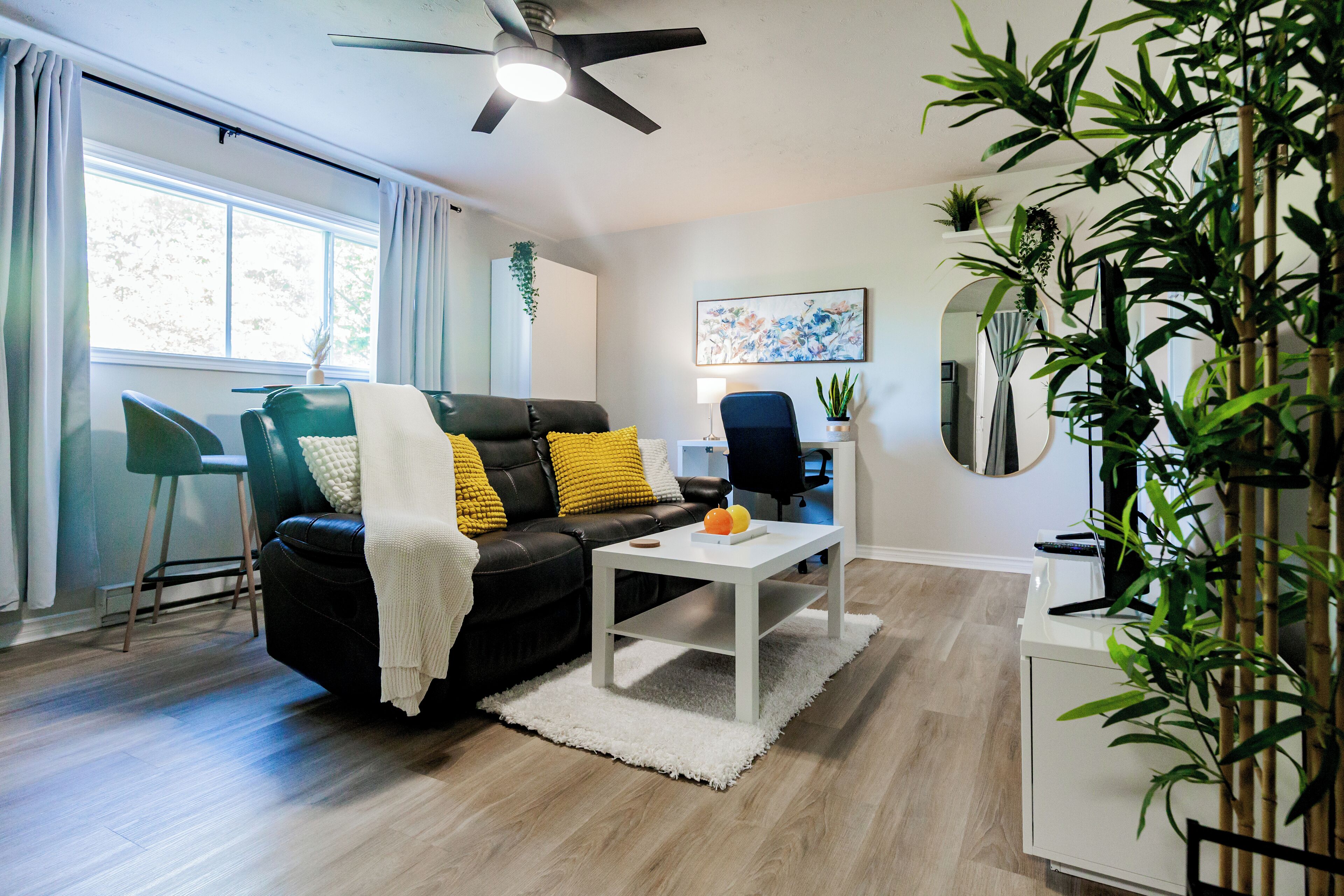 スマートテレビ、書庫