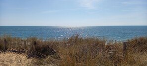 A beach with a wooden fence and dry grass in the foreground.