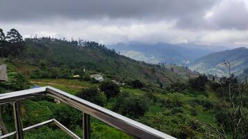 Vista desde la propiedad
