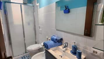 Shower, hair dryer, bidet, towels