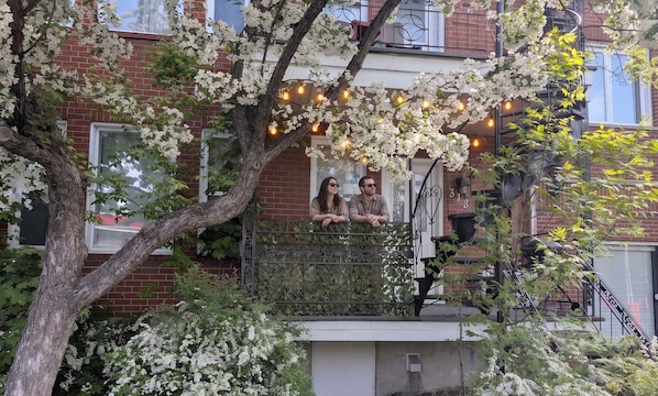 Un edificio residencial con balcón, un árbol de flores blancas y luces colgantes.