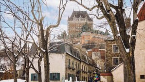A historic building with a prominent tower, surrounded by trees and other buildings.