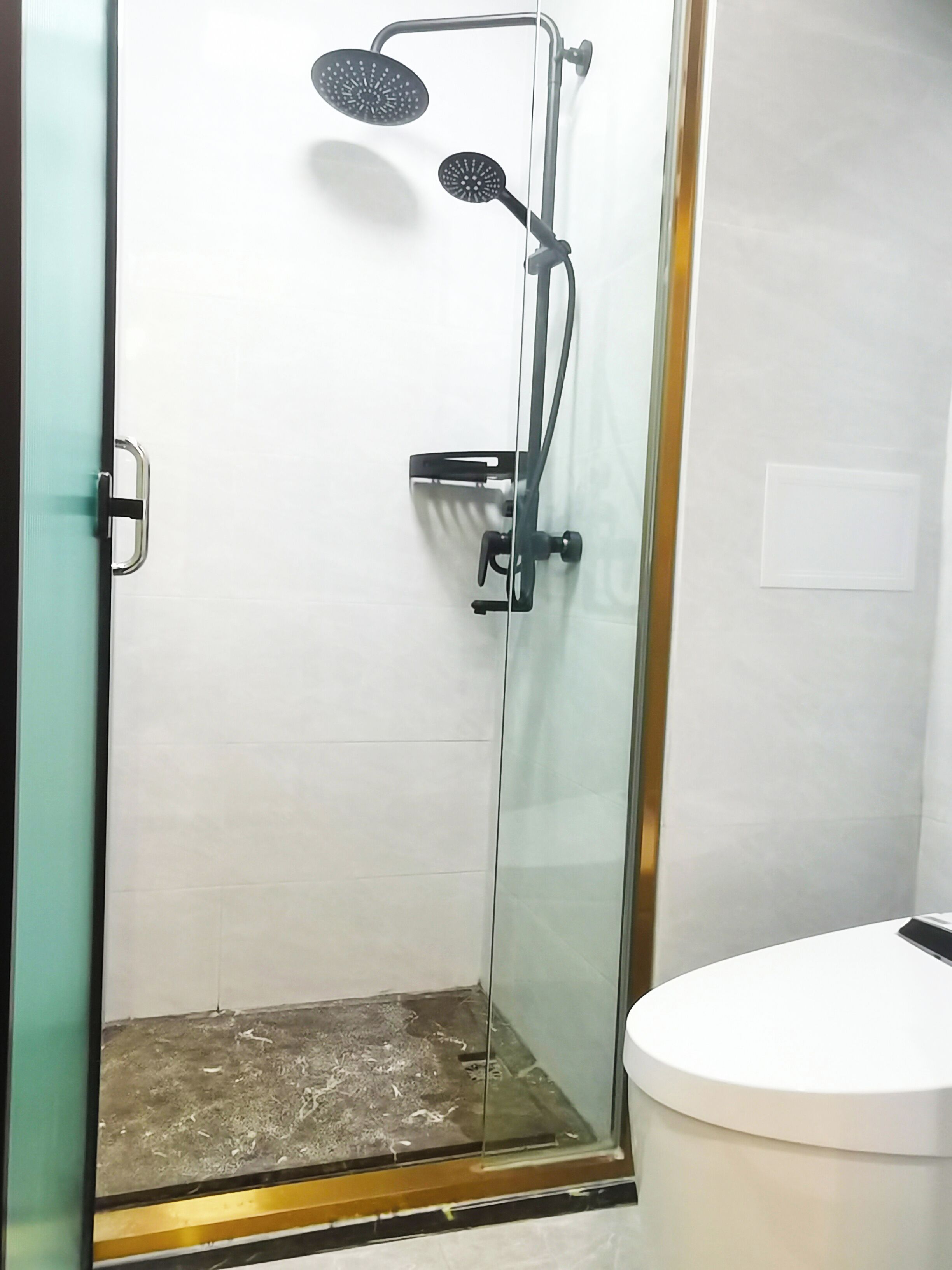 A glass-enclosed shower with a white toilet visible to the right.