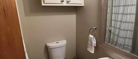 A bathroom with a toilet, sink, and a mirror above the sink.