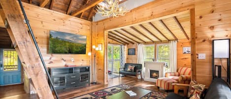 Télévision, cheminée, espaces bureaux