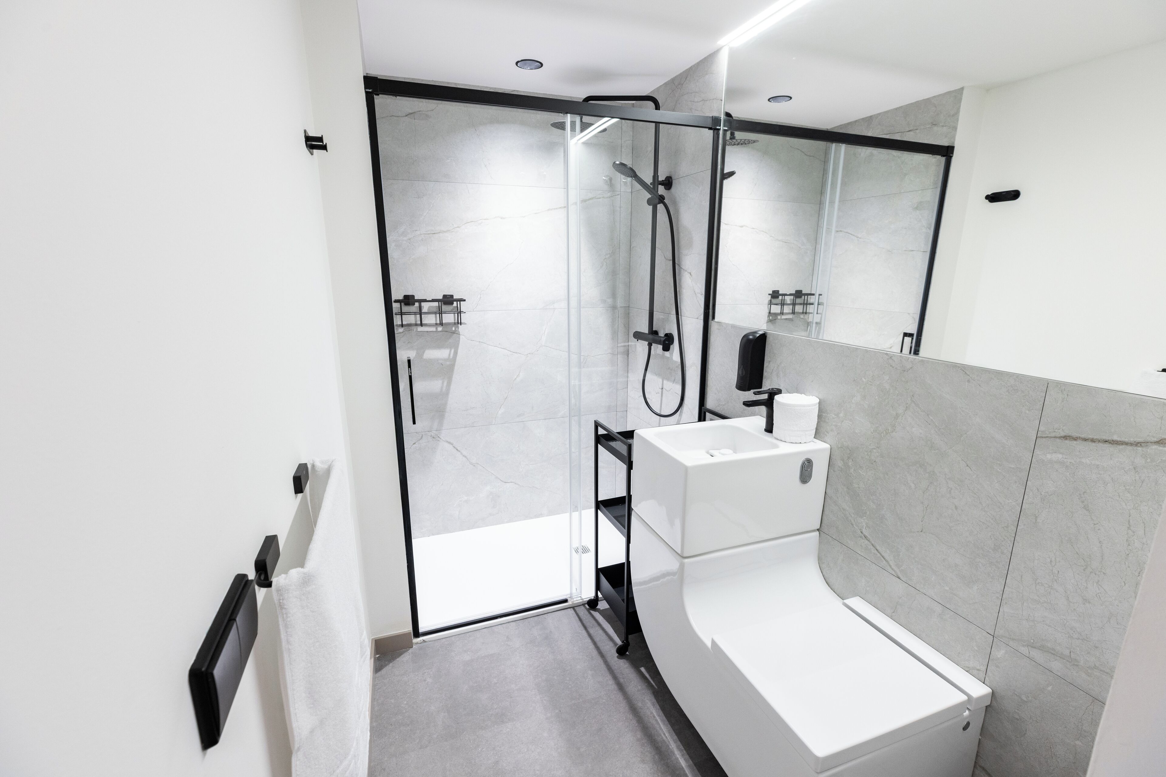 A modern bathroom with a glass shower enclosure, a white toilet, and a large mirror.