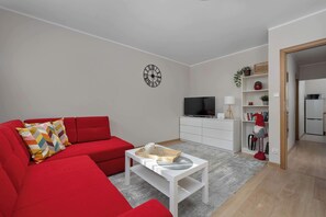 Fernseher, Arbeitsbereiche