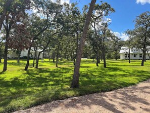 المنطقة المحيطة بالمنشأة