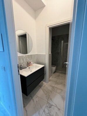シャワー、ヘアドライヤー、タオル、トイレットペーパー