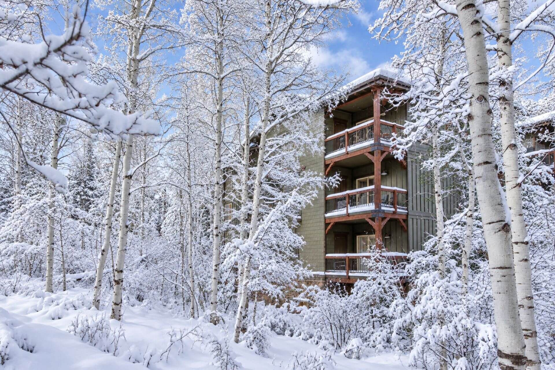 A multi-story building with balconies, surrounded by snow-covered trees.