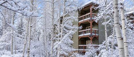 Un edificio de varios pisos con balcones, rodeado de árboles cubiertos de nieve.