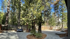 A paved patio area with a central tree, surrounded by tall trees and a wooden fence.