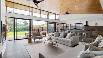 TV, fireplace, books