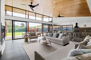 TV, fireplace, books