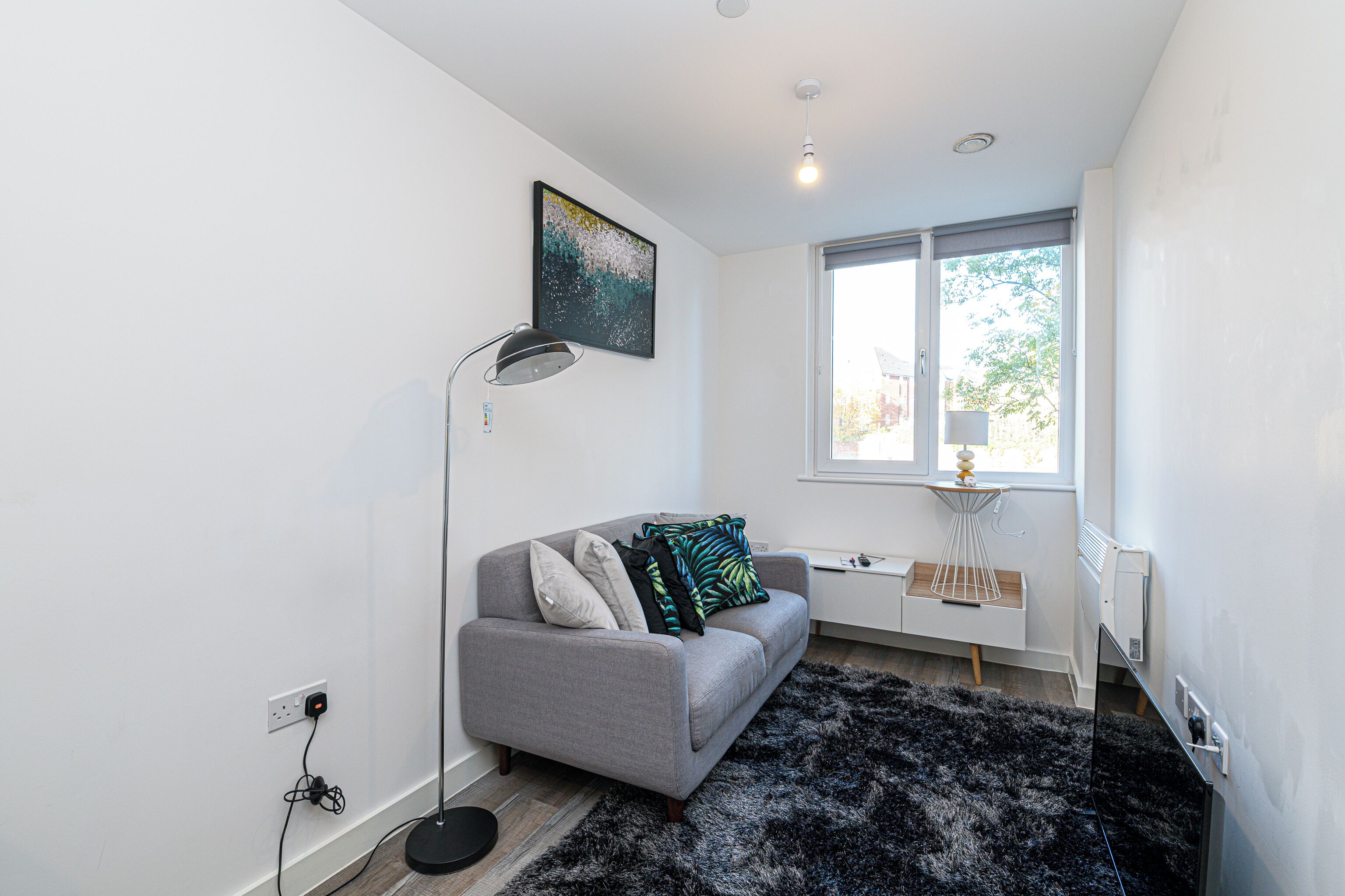 A modern living room with a grey sofa, a black furry rug, a floor lamp, and a window with a view of trees.