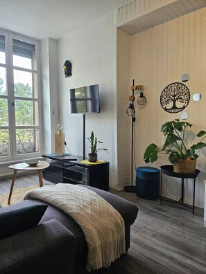 Smart TV - Apartment facing the Royat thermal baths (Royat)