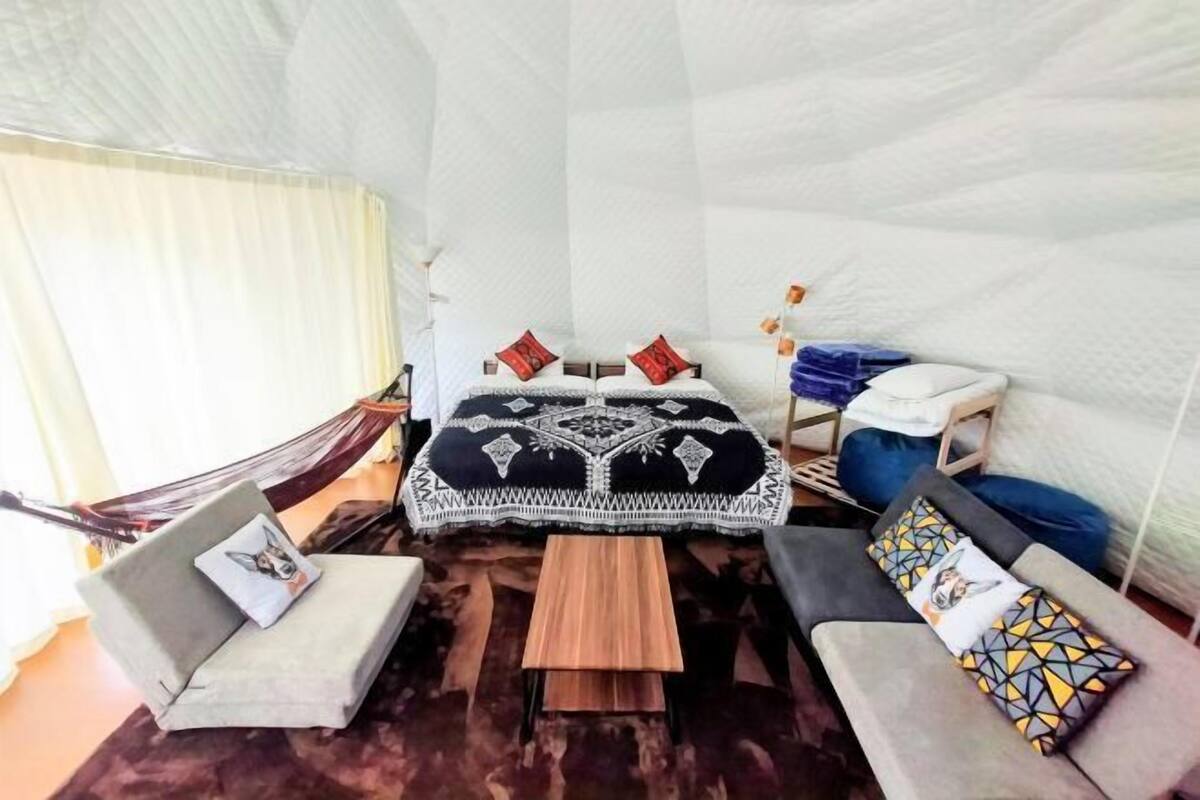 A cozy room with a bed, two sofas, a small wooden table, and a hammock.