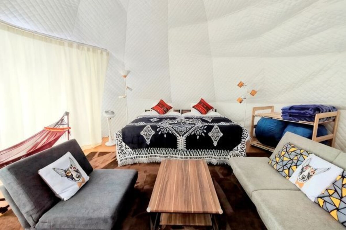 Una stanza con un letto, due divani, un tavolino, un'amaca e una finestra con tende.