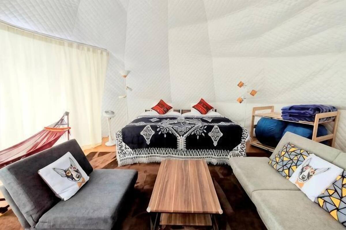 A room with a bed, two sofas, a small table, a hammock, and a window with curtains.