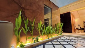 Un bâtiment moderne avec une façade contemporaine, un sol carrelé et une rangée de plantes vertes illuminées par un éclairage chaleureux.