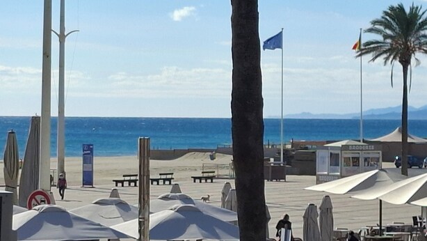 Une zone de plage aménagée avec des parasols, un palmier et un kiosque.