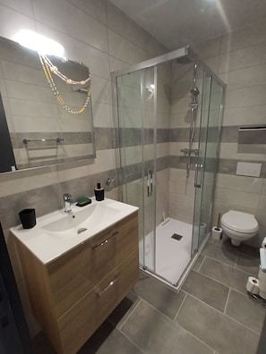 Shower, hair dryer, soap, toilet paper