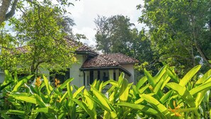 Une maison traditionnelle avec un toit en tuiles, entourée d’une végétation luxuriante et de bananiers.