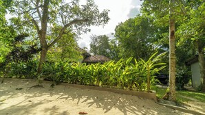 Une zone sablonneuse bordée d’une rangée de bananiers, avec un arbre et un bâtiment dont le toit est recouvert de tuiles, visibles au loin.