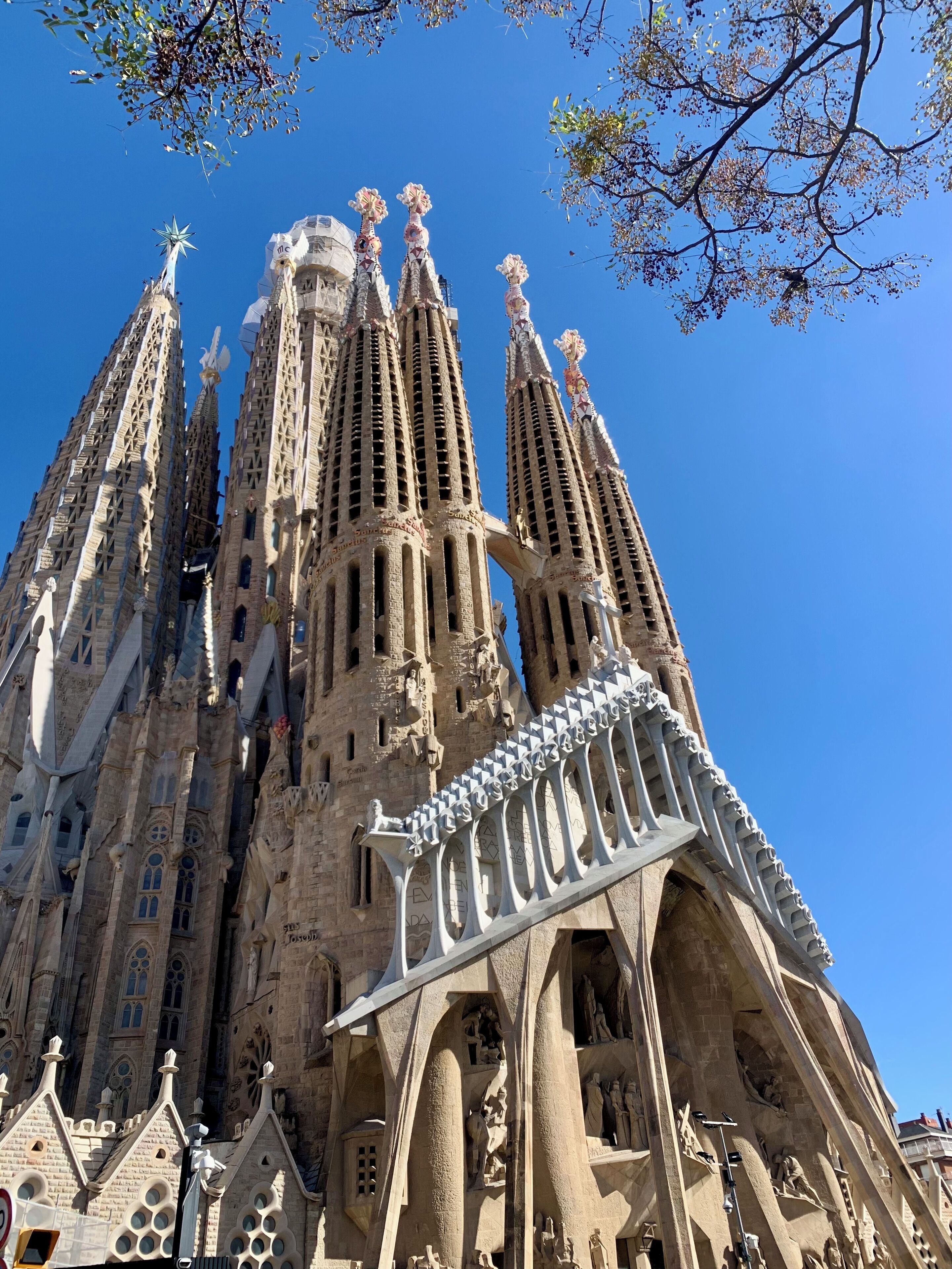 Basic Apartment | Living area