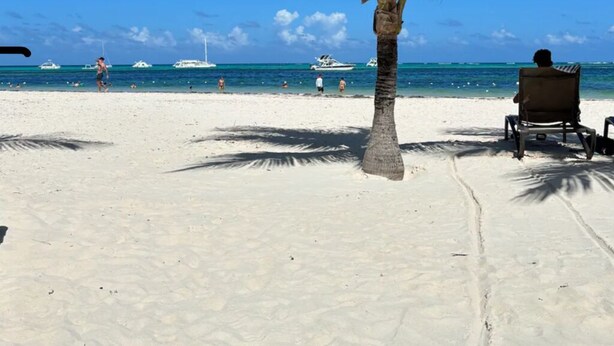 A beach with a palm tree, clear blue sky, and boats in the water. -  White Sand Beach Retreat (Punta Cana)