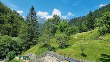 Eksteriør