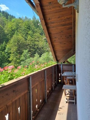 Apartment, 1 Bedroom, Balcony, Mountain View | Terrace/patio