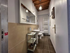 Shower, hair dryer, bidet, towels