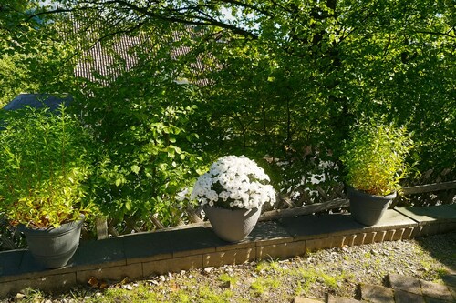 Vacation and fitter's apartment Ruck