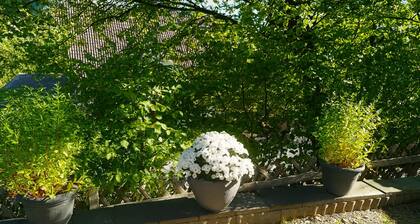 Ferien-und Monteurwohnung Ruck