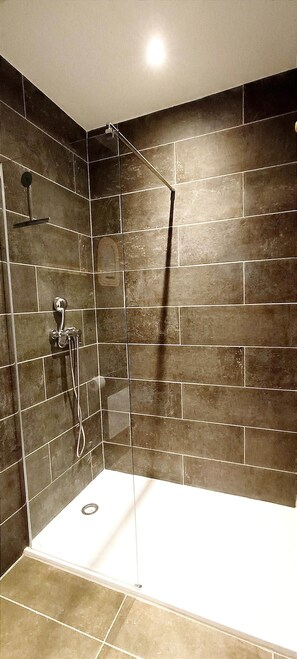Shower, hair dryer, towels - Apartment 6 people - 2bed - Comfort & Quiet (Carcassonne)