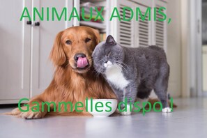 Animaux de compagnie acceptés