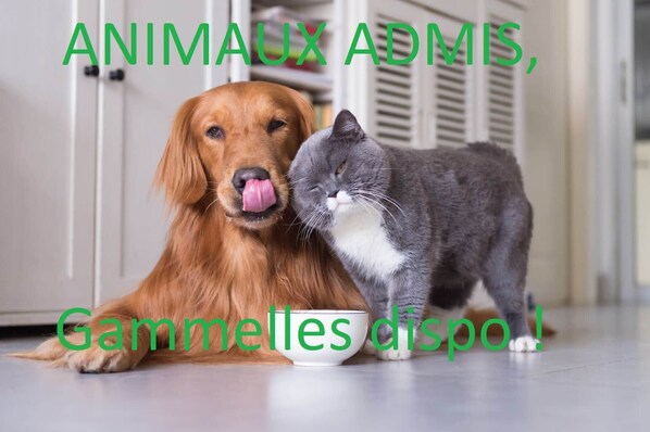 Animali ammessi