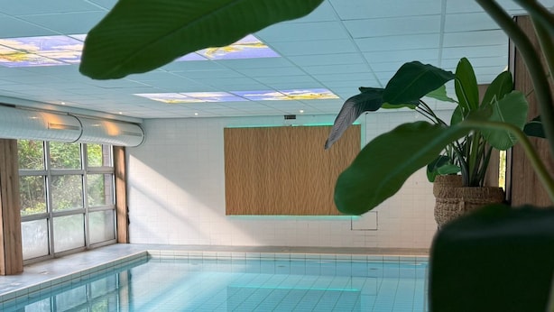 Una piscina interior con azulejos azul claro, rodeada de grandes ventanales y plantas de interior.