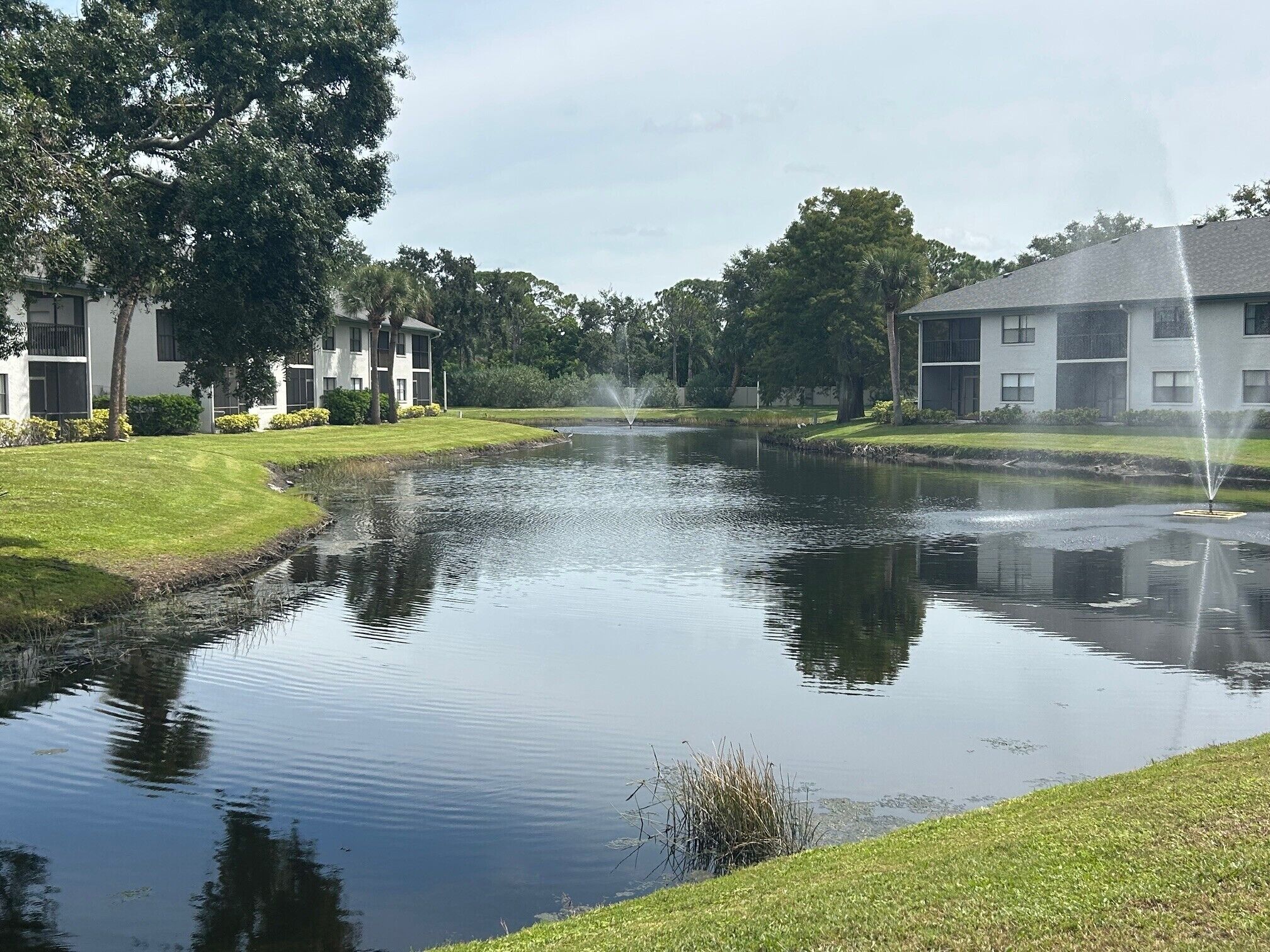 A calm water body with a fountain in the center, surrounded by well-maintained grass and trees.