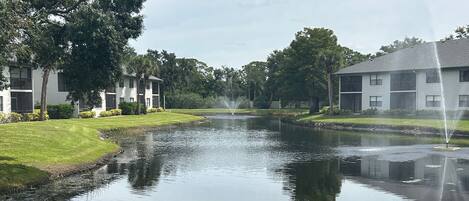 A calm water body with a fountain in the center, surrounded by well-maintained grass and trees.