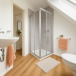 Douche, sèche-cheveux, serviettes fournies, savon