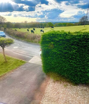 Huis, 1 slaapkamer, terras | Terrein van de accommodatie
