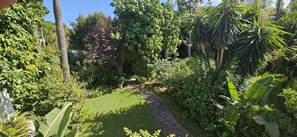 A garden with a stone pathway, lush greenery, and various plants.