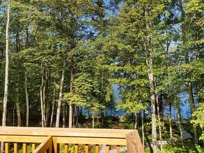 Une terrasse en bois offrant une vue sur une zone boisée et sur une étendue d’eau en arrière-plan.