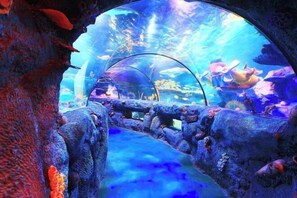 Miscellaneous - D'Pristine Suites by RR JBcity (Iskandar Puteri)