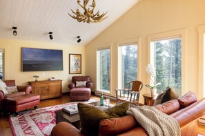 Televisor intel·ligent i llar de foc 