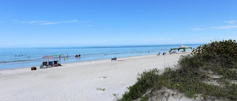 Condo, 1 King Bed with Sofa bed (Indian Oaks #7 - Sandy Toes) | Beach